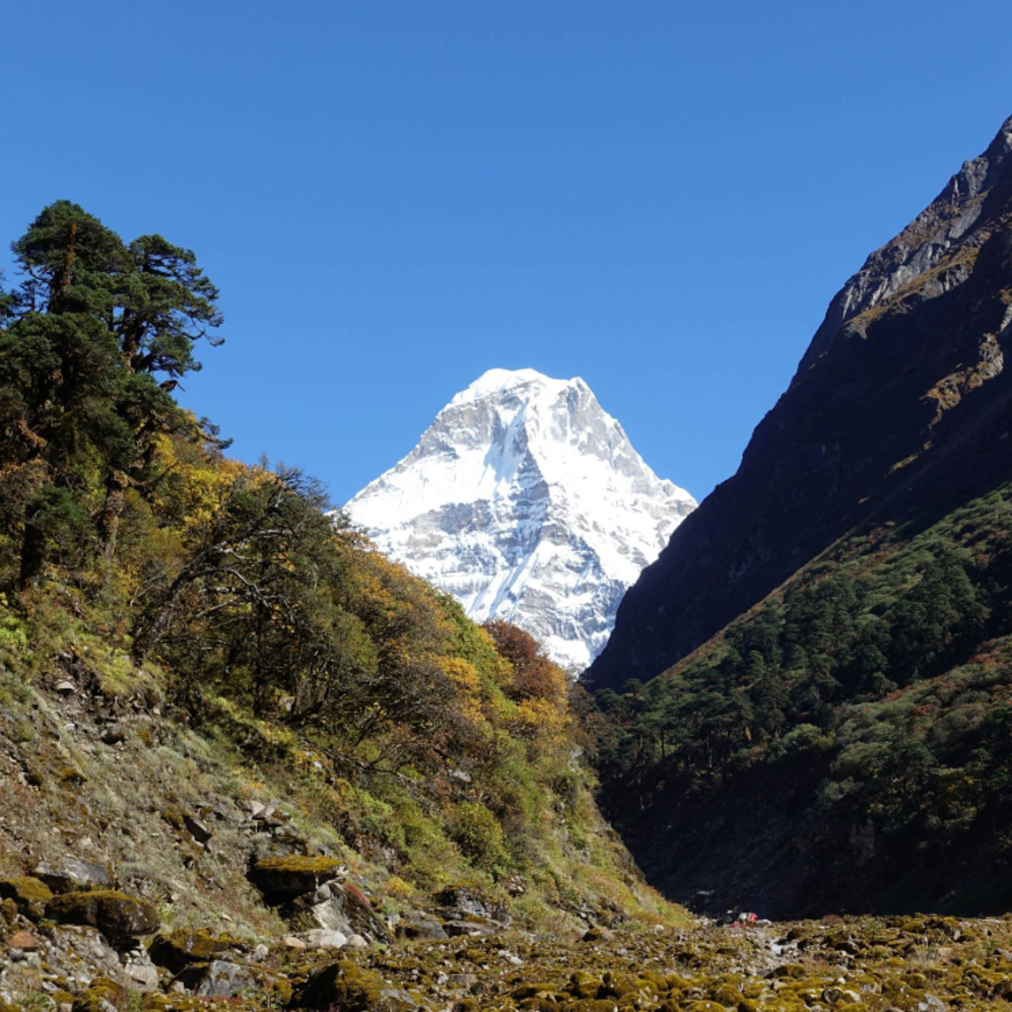 mera peak